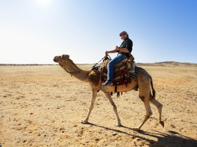 Ride a Camel