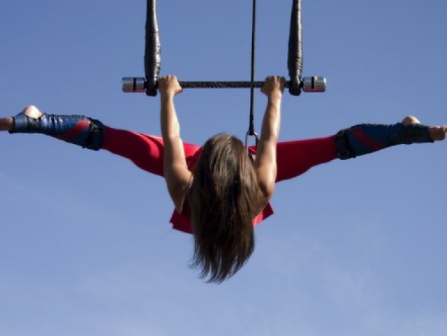 Fly Trapeze