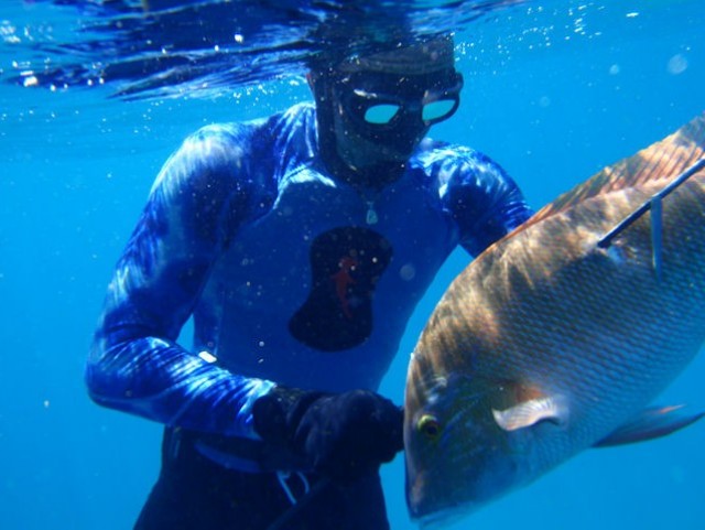 Spearfishing Trips