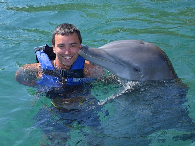 Swim with Dolphins